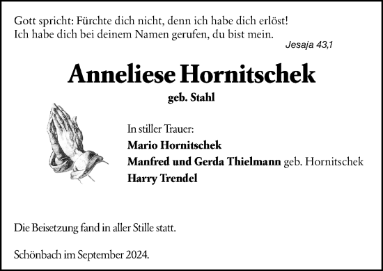 Traueranzeige von Anneliese Hornitschek von Dill Block
