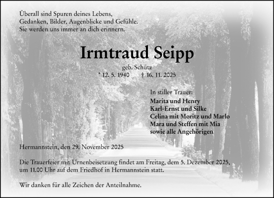 Traueranzeige von Irmtraud Seipp von Wetzlarer Neue Zeitung