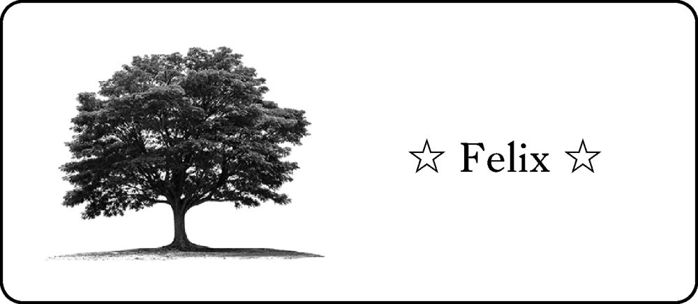  Traueranzeige für Felix  vom 03.02.2025 aus Allgemeine Zeitung Mainz