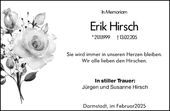 Traueranzeige von Erik Hirsch von Darmstädter Echo