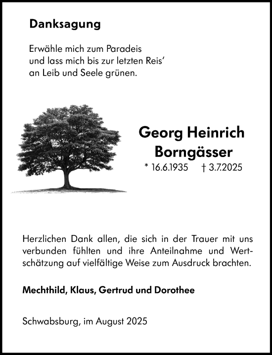 Traueranzeige von Georg Heinrich Borngässer von Allgemeine Zeitung Mainz
