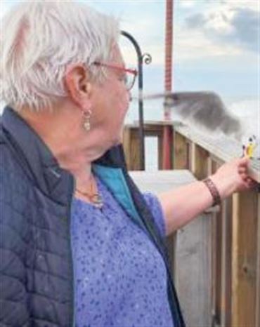 Profilbild von Liane Pohl