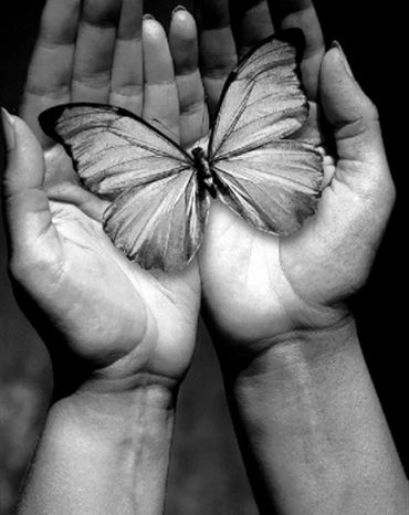 Profilbild von Marianne Dietrich