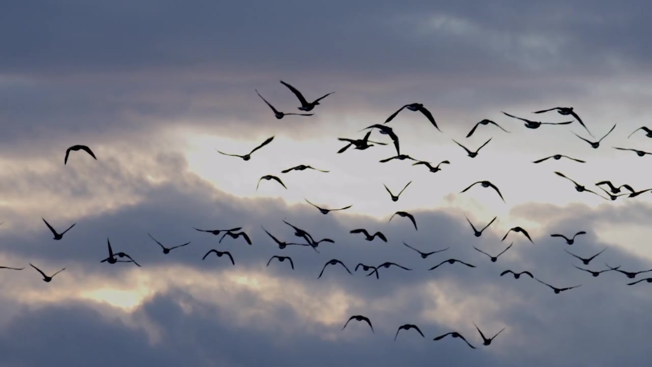 Video zur Danksagung 1